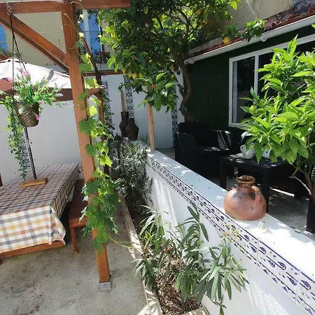 Terrace Garden *